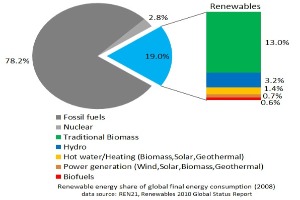 Tortendiagramm, das den globalen Verbrauch erneuerbarer Energien im Jahr 2008 zeigt, aufgeteilt in Abschnitte für fossile Brennstoffe, Kernenergie, Wasserkraft, Warmwasserheizung, Biomassen, Solarenergie, Geothermie und Biokraftstoffe.
