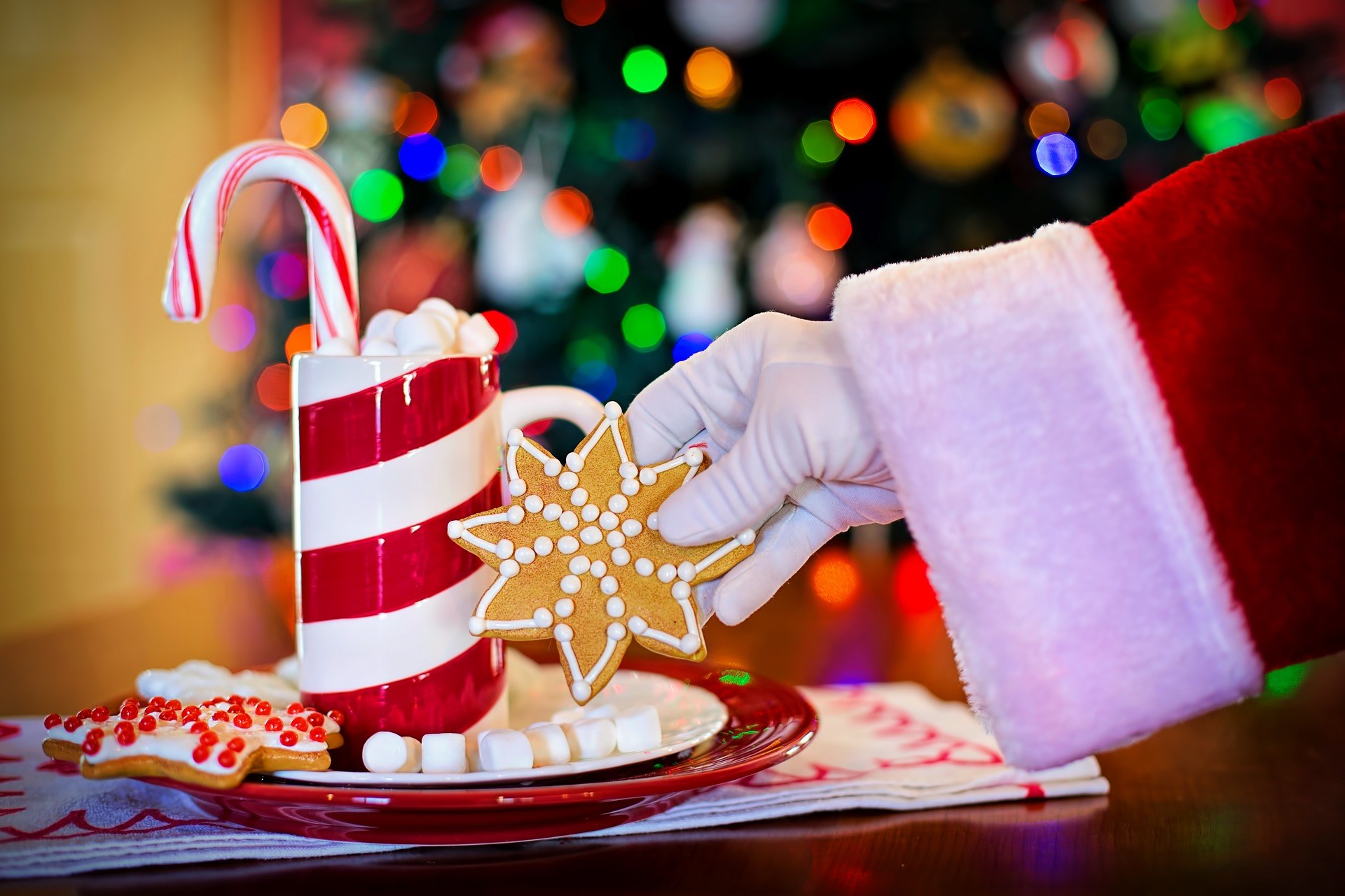 Eine Person in einem Weihnachtsmannhut hält einen Becher heiße Schokolade und einen Zuckerstange in der Hand und hat einen Teller mit Keksen und ein Tuch auf dem Tisch vor sich, vor einem Weihnachtsbaum und einer Wand.