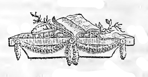 Schwarz-weiß-Zeichnung einer Geschenkbox mit einem Buch darauf, mit einer Schleife verziert, geschmückt mit Stechpalmenblättern und Beeren, die ein Weihnachtsgeschenk suggeriert.