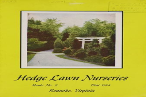 Plakat für Hedge Lawn Nurseries in Roanoke, Virginia, mit Bäumen, Pflanzen, einem Weg und Himmel sowie dem Text "Hedge Lawn Nurseries Route No. 2" unten.