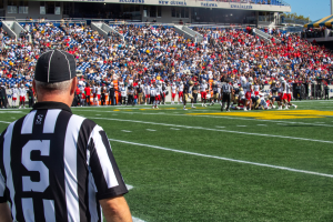 Referee standing on a football field near a crowd, with railings, signage, poles, trees, and a clear blue sky in the background.