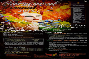 Eine Frau in einem farbenfrohen Kleid, die lächelt, umgeben von fettem schwarzem Text, der "Carnaval Festival 2014" auf einem leuchtend gelben Hintergrund liest.