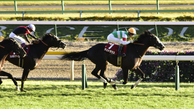 Irenens Darragh Kenny behält Schwung von Spruce Meadows bei und feiert großen Sieg in Aachen...