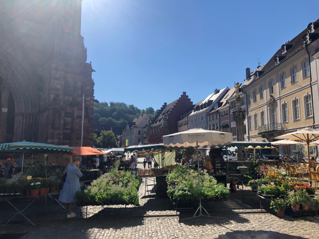 Ein lebendiger Markt im Heidelberger Altstadt mit Menschen, Tischen voller Blumentöpfe und Sonnenschirme, Gebäuden, Bäumen und einem klaren blauen Himmel.