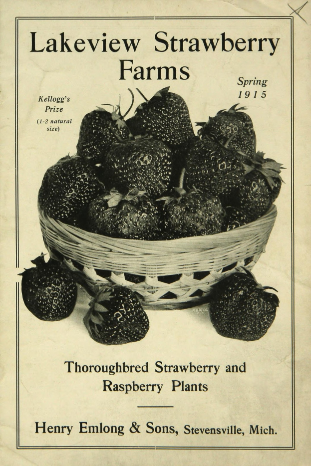 Plakat aus Frühjahr 1915 für Lakeview Erdbeerfarmen, das einen Korb reifer roter Erdbeeren und den Text "Zuchtst├Ąmme Erdbeer- und Himbeerpl├Ąnze." zeigt