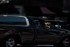 Ein Auto mit einem Hund darin.