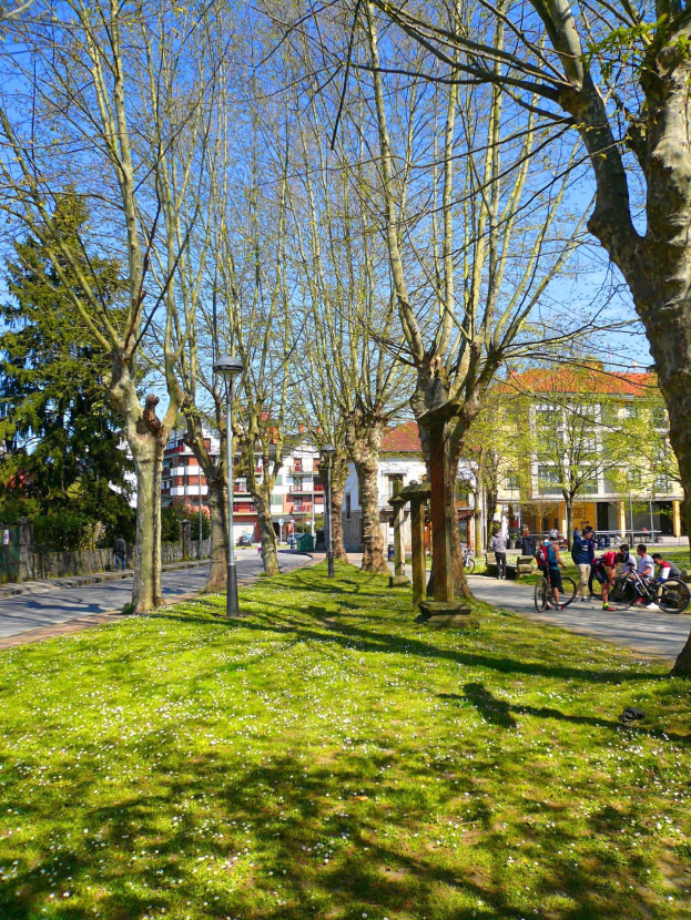 Parkszene mit grünem Gras, Bäumen, Menschen, die zu Fuß und mit dem Fahrrad auf einer Straße unterwegs sind, Gebäuden im Hintergrund und einem klaren blauen Himmel.