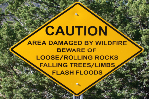 Gelbes Warnschild an einem Pfosten im Vordergrund, das vor Waldbrandschäden, lockeren Steinen, umstürzenden Bäumen und Überschwemmungen warnt, mit Bäumen im Hintergrund.