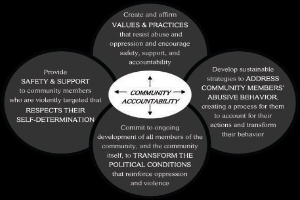 Ein Diagramm mit dem Titel "Verantwortung in der Gemeinschaft" mit drei miteinander verbundenen Kreisen um einen zentralen Kreis, alles in hellen Farben mit fetter Schrift.