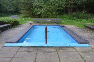 Ein kleiner Parkteich mit B├Ąnken, Grünfläche, Stra├če und B├Ąumen.