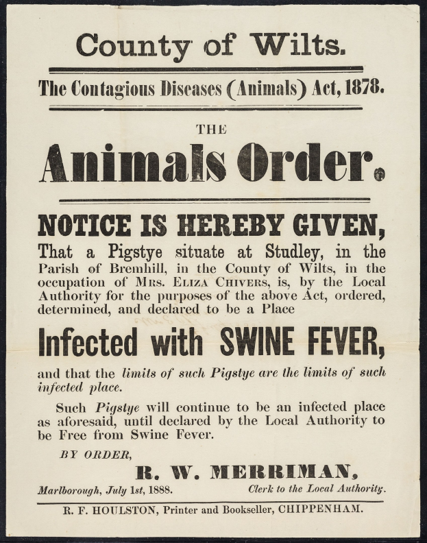 Plakat mit der Aufschrift "Der Landkreis Wiltshire, das Tierseuchengesetz von 1878" informiert über Schweinepest-Infektionen.