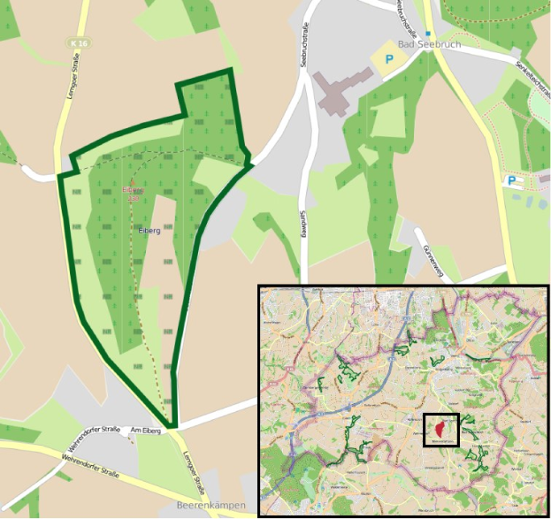 Ein detaillierter Stadtplan, der einen zentralen grünen Bereich als geplanten Entwicklungsstandort markiert, mit umliegenden Straßen, Gebäuden und Sehenswürdigkeiten.