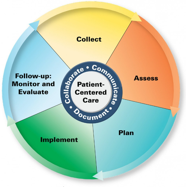 Kreisförmige Diagramm mit der Überschrift "patientenorientierte Pflege", unterteilt in vier farbige Abschnitte, jeweils mit einer Pflegebeschreibung beschriftet.