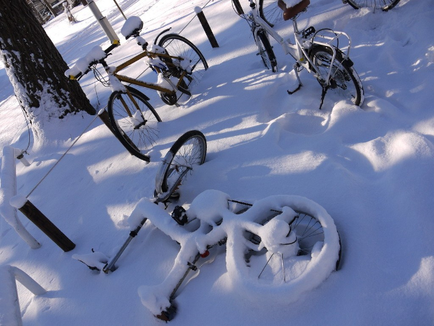 Fahrräder teilweise von Schnee bedeckt neben einem Baumstamm und Straße.