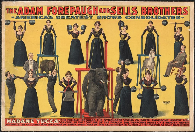 Plakat für die vereinigte Zirkusshow von Adam Forepaugh und Sells Brothers mit Performern auf Hockern und einem zentralen Elefanten sowie Werbetext.